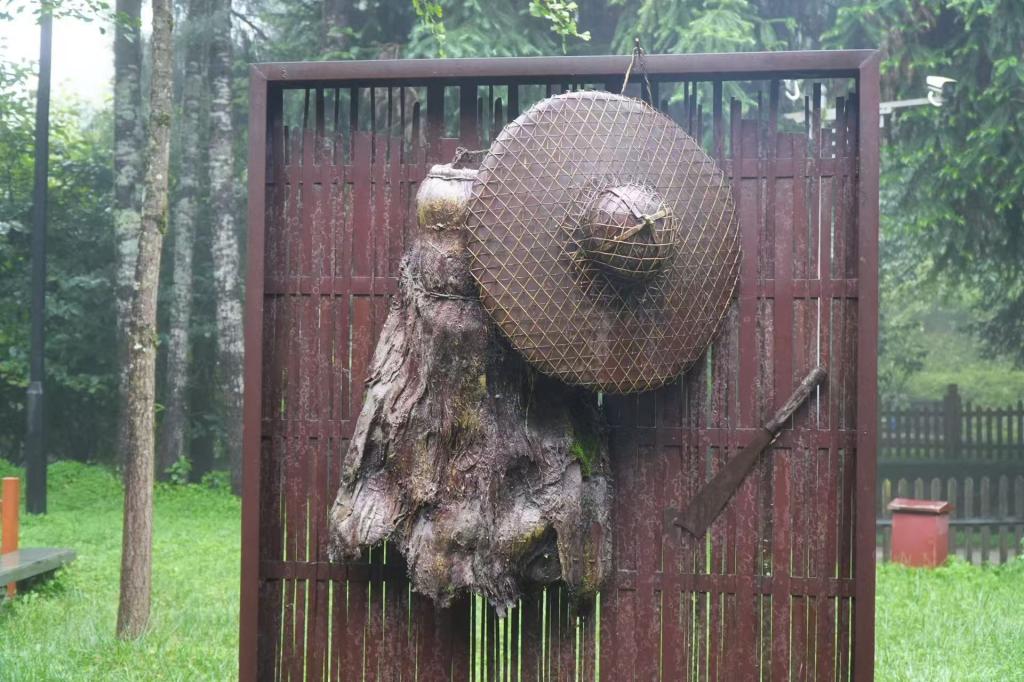 4.JPG